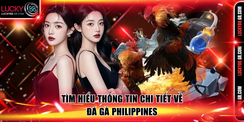 Tìm hiểu thông tin chi tiết về đá gà Philippines